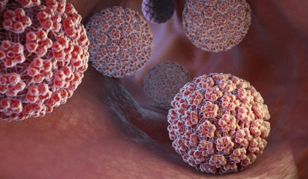 Human Papillomavirus Hpv Symptoms Testing And Treatment Ob Gyn Specialists Of South Miami 0686